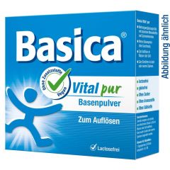 Basica Vital Pur Basenpulv